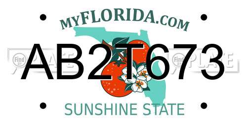 AB2T673 Florida License Plate