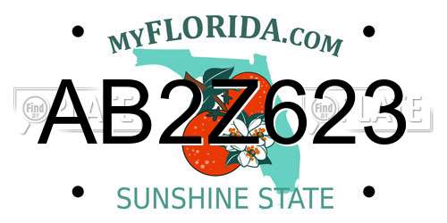 AB2Z623 Florida License Plate