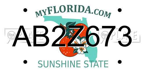 AB2Z673 Florida License Plate