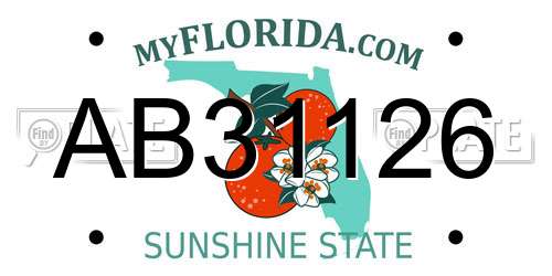 AB31126 Florida License Plate