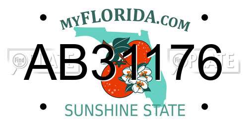 AB31176 Florida License Plate