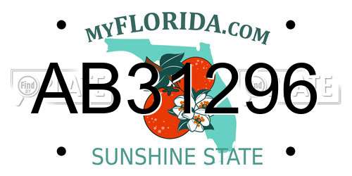 AB31296 Florida License Plate