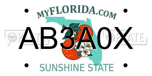 AB3A0X Florida License Plate