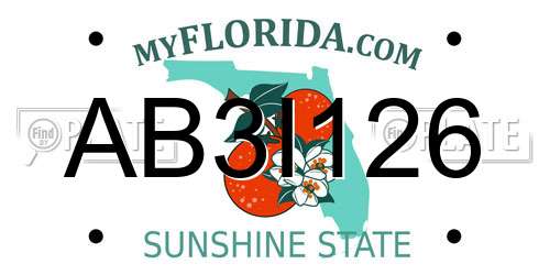 AB3I126 Florida License Plate