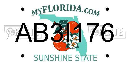 AB3I176 Florida License Plate