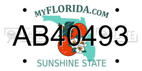 AB40493 Florida License Plate
