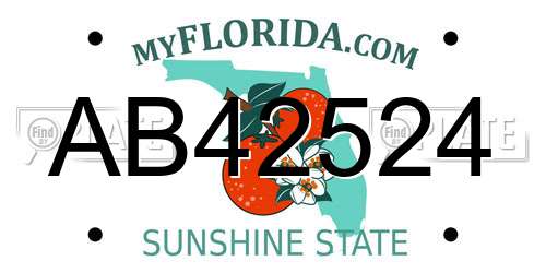 AB42524 Florida License Plate