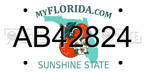 AB42824 Florida License Plate