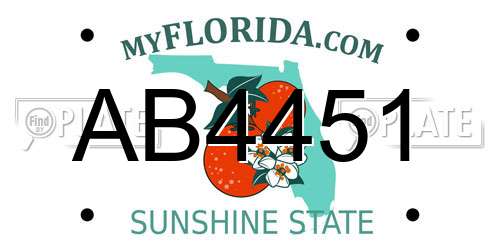 AB4451 Florida License Plate