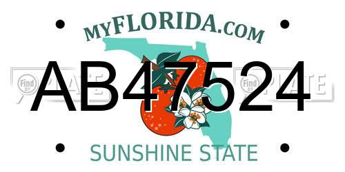 AB47524 Florida License Plate