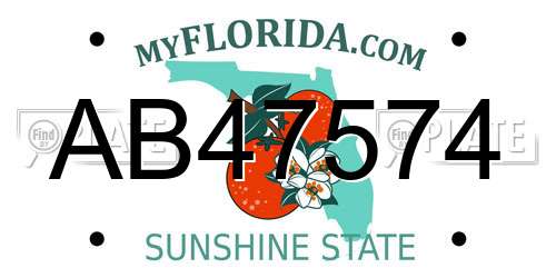 AB47574 Florida License Plate