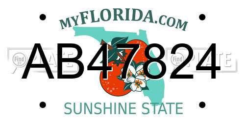 AB47824 Florida License Plate