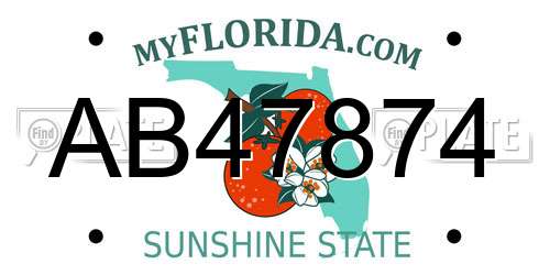 AB47874 Florida License Plate