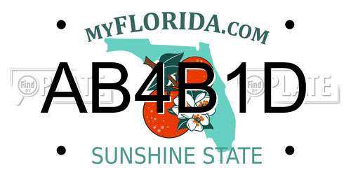 AB4B1D Florida License Plate