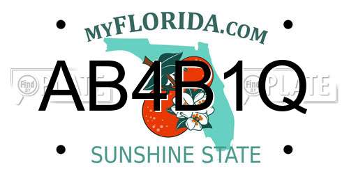 AB4B1Q Florida License Plate