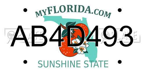 AB4D493 Florida License Plate