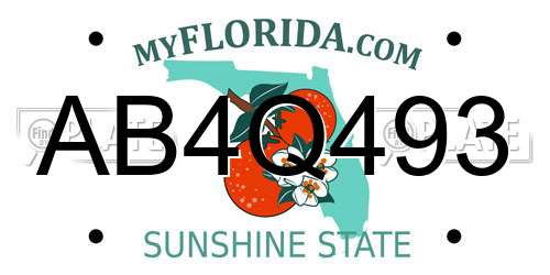 AB4Q493 Florida License Plate