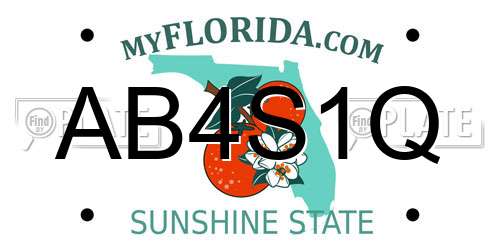 AB4S1Q Florida License Plate