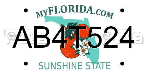 AB4T524 Florida License Plate