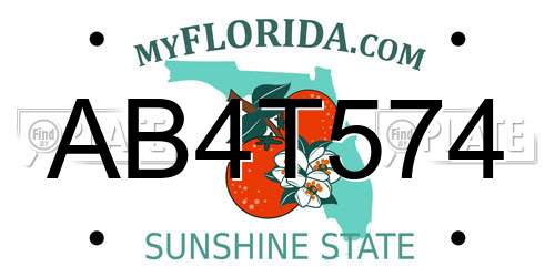 AB4T574 Florida License Plate