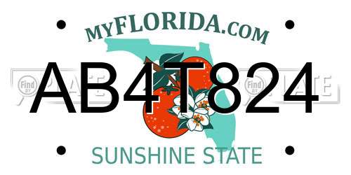 AB4T824 Florida License Plate