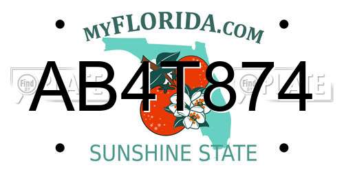 AB4T874 Florida License Plate