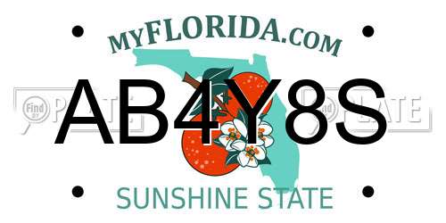 AB4Y8S Florida License Plate