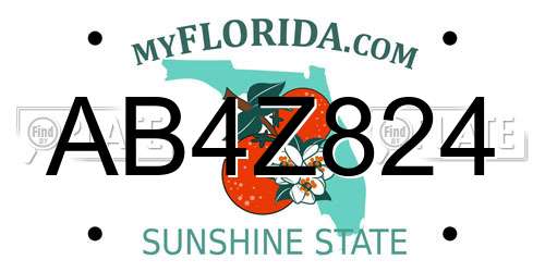 AB4Z824 Florida License Plate