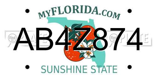 AB4Z874 Florida License Plate