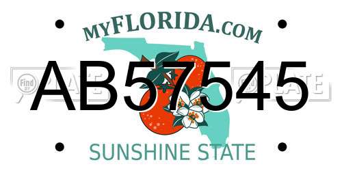 AB57545 Florida License Plate