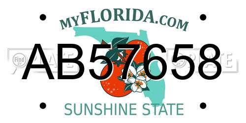 AB57658 Florida License Plate