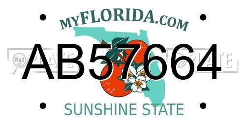 AB57664 Florida License Plate
