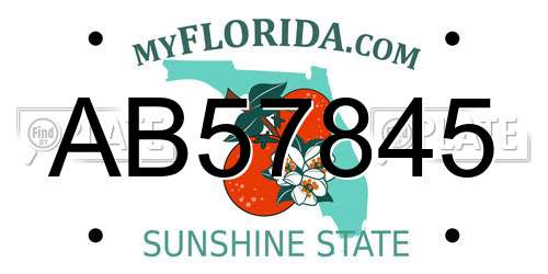 AB57845 Florida License Plate