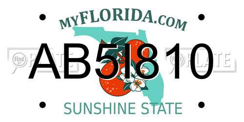 AB5I810 Florida License Plate