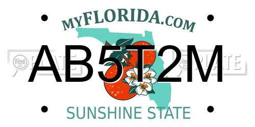 AB5T2M Florida License Plate