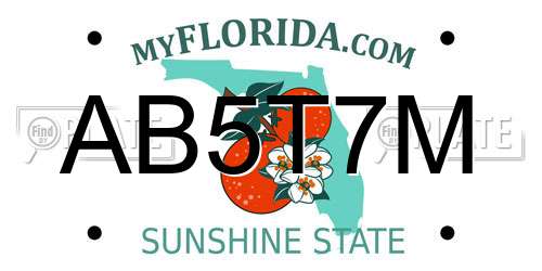 AB5T7M Florida License Plate