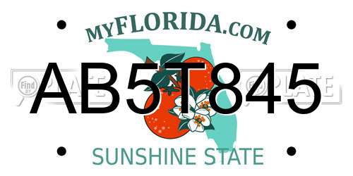 AB5T845 Florida License Plate