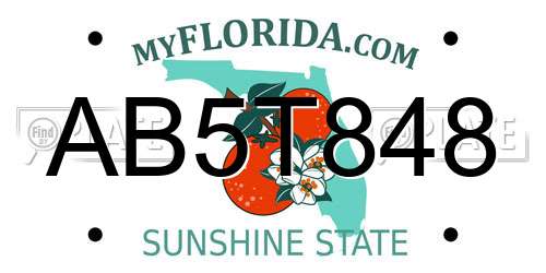 AB5T848 Florida License Plate