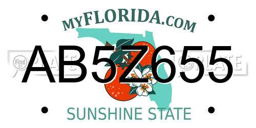 AB5Z655 Florida License Plate