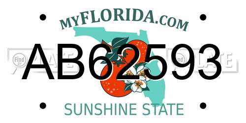 AB62593 Florida License Plate
