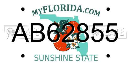 AB62855 Florida License Plate