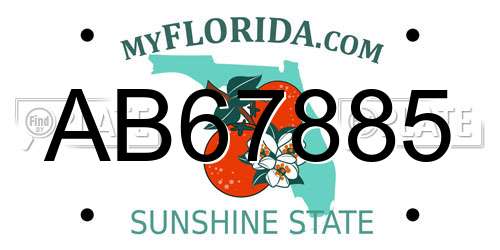AB67885 Florida License Plate