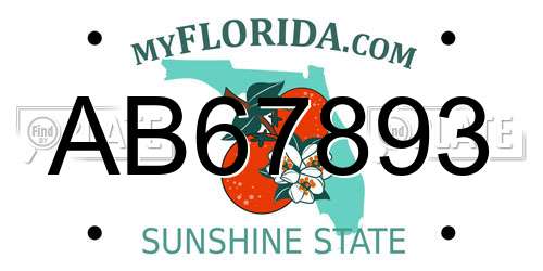 AB67893 Florida License Plate