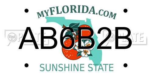 AB6B2B Florida License Plate