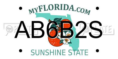 AB6B2S Florida License Plate