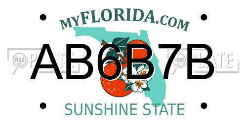 AB6B7B Florida License Plate