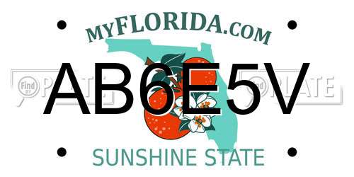 AB6E5V Florida License Plate