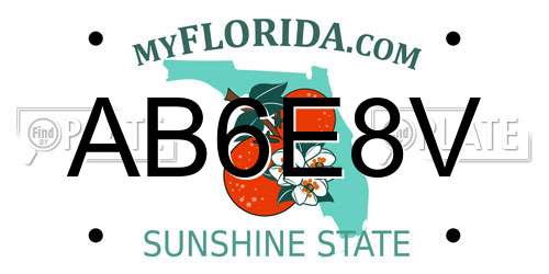 AB6E8V Florida License Plate
