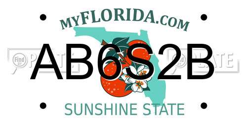 AB6S2B Florida License Plate
