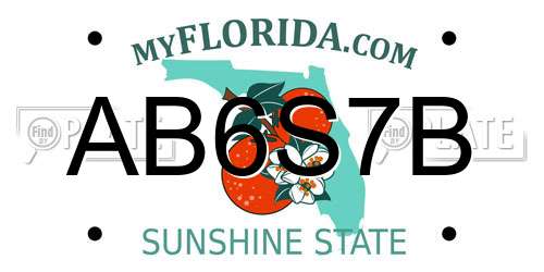 AB6S7B Florida License Plate